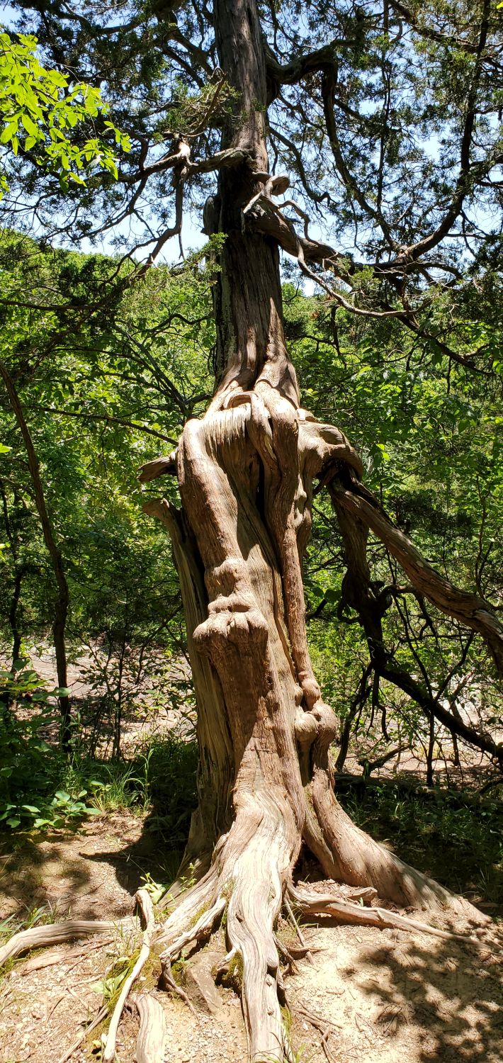 Rim Rock Rec Area - Rim Rock Rec Trail 